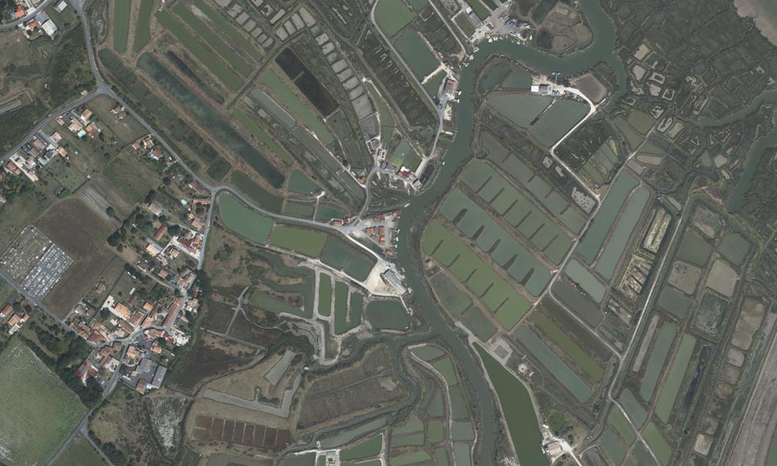 Vue aérienne — Port du Chenal de Chaillevette