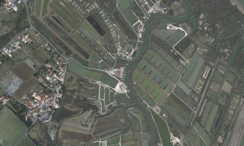 Vue aérienne — Port du Chenal de Chaillevette